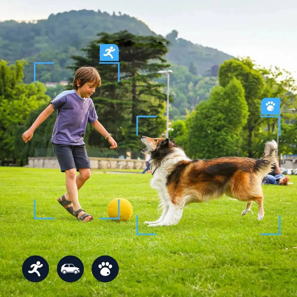 Reolink UltraGuard Outdoor WiFi Camera - AnavaShop