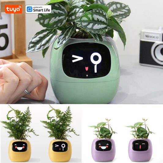 Pflanzenfreundlicher Smart-Topf - AnavaShop
