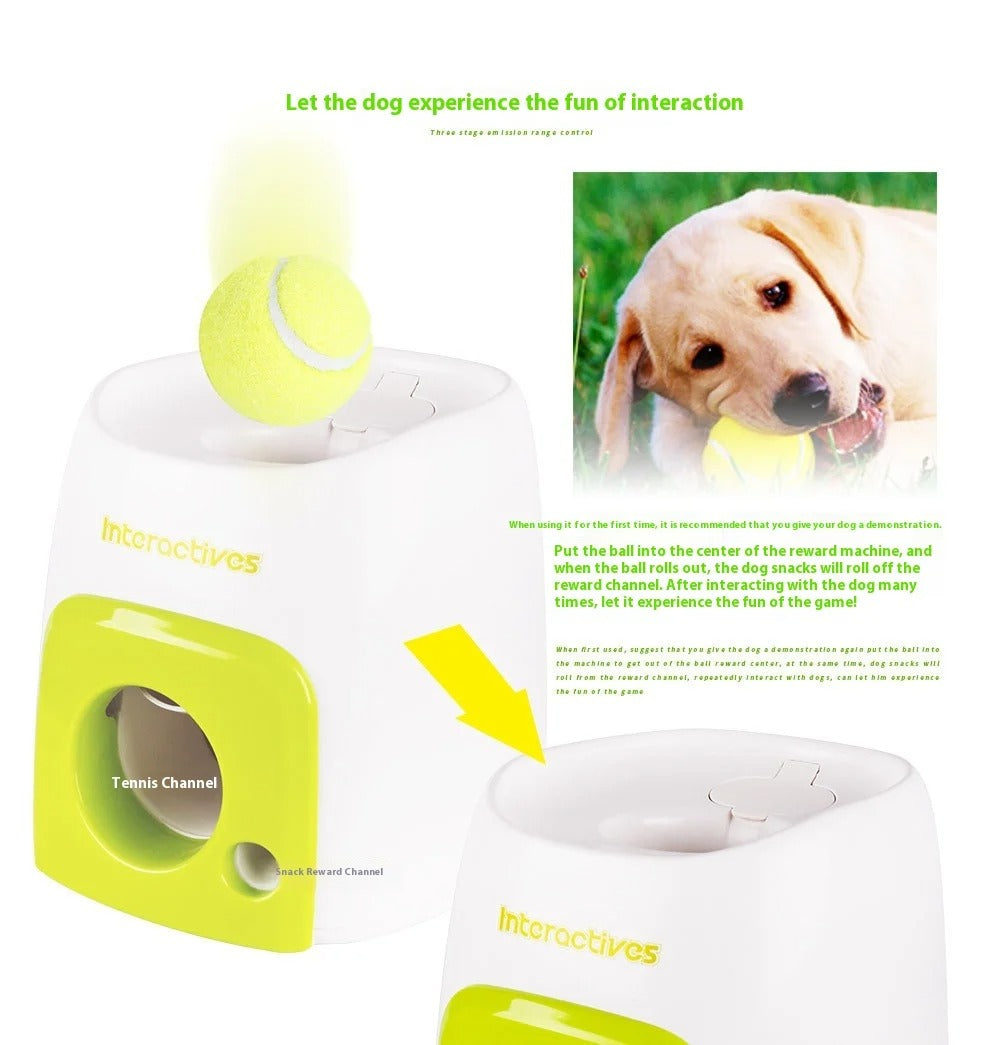 Haustier Spielzeug Tennis Launcher Hund Automatische Spielzeug Belohnung Maschine - AnavaShop